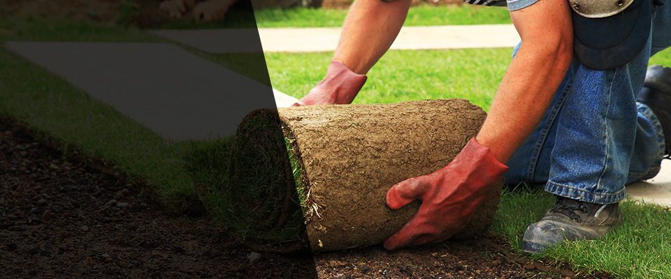 Fort Myers Beach Landscapers